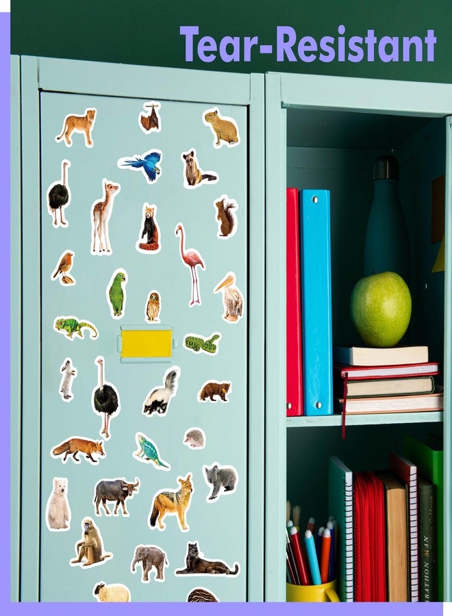 Gethelud 700 PCS Wild Animal Stickers, 100+ Realistic Animals Cute Zoo Animal Stickers Water/Tear Resistant with No Residue Washable Decals for Teachers, Kids, Students, Water Bottle, Laptop, Scrapbook - Image 4